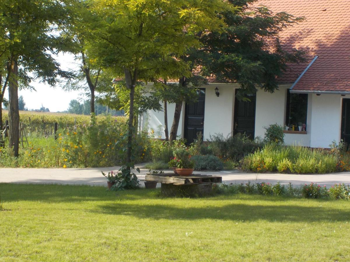 Guest House Vidravar Tabdi Exterior photo
